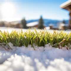 Why Does Winter Lawn Care Matter? Essential Tips