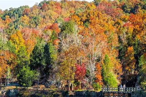 Exploring the Vibrant Exhibits in Montgomery County, MD