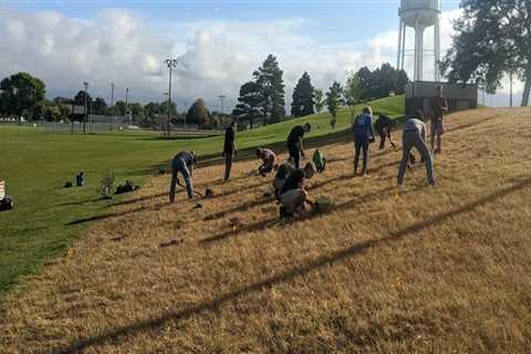 The Impact of Climate Change on Plant Conservation Efforts in Anoka County, MN