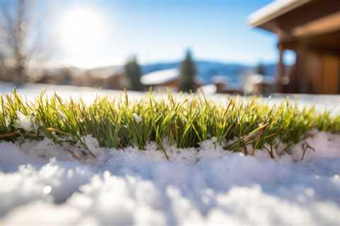 Why Does Winter Lawn Care Matter? Essential Tips