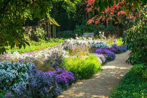 Exploring Landscaping in Camden County, New Jersey