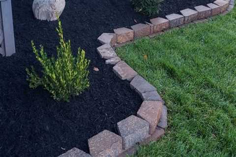 Creating a Low-Maintenance Landscape in Camden County, New Jersey