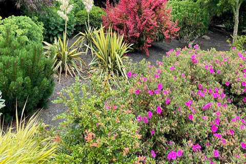 Creating a Low-Maintenance Garden in King County, Washington: Expert Tips and Tricks