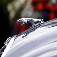 Jaguar Cars In Chicago: Elevate Your Night Out With Luxurious Limo Service
