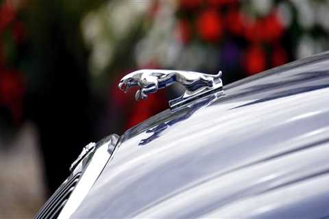 Jaguar Cars In Chicago: Elevate Your Night Out With Luxurious Limo Service