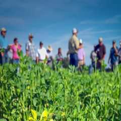 Exploring Educational Programs for Aspiring Farmers in Southern Mississippi