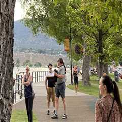 Strategic Management: Why Lot Clearing Services Are Crucial For Urban Forestry In Johnson City