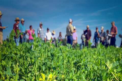 Exploring Educational Programs for Aspiring Farmers in Southern Mississippi