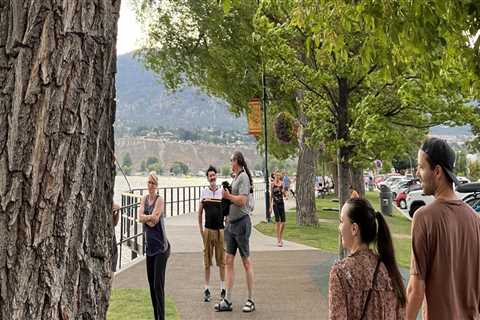 Strategic Management: Why Lot Clearing Services Are Crucial For Urban Forestry In Johnson City