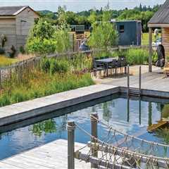 Why Hiring A Landscaper With Urban Forestry Knowledge Transforms Gardens In Portland