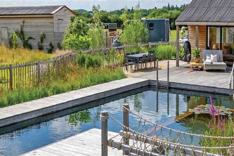 Why Hiring A Landscaper With Urban Forestry Knowledge Transforms Gardens In Portland