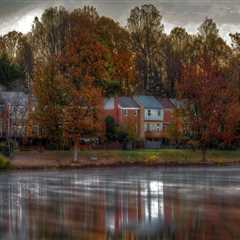 Empowering Youth: The Impact of Youth Projects on Fairfax County, Virginia
