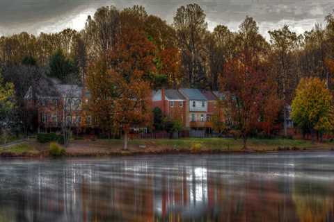 Empowering Youth: The Impact of Youth Projects on Fairfax County, Virginia