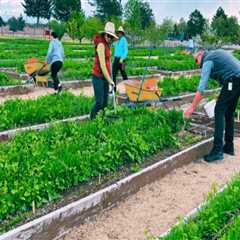 The Benefits of Diversifying Crops and Products for Farmers in Salt Lake County, Utah