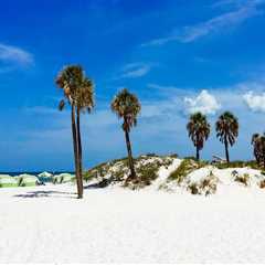 The Ultimate Guide to Photographing in Southeast Florida