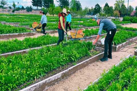 The Benefits of Diversifying Crops and Products for Farmers in Salt Lake County, Utah