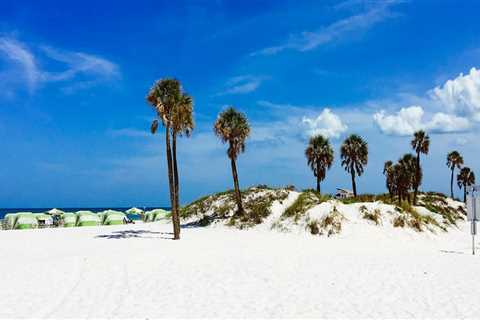The Ultimate Guide to Photographing in Southeast Florida
