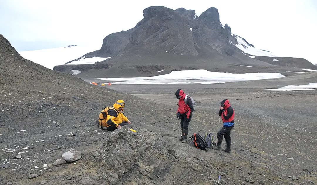 A fern fossil from the time of the dinosaurs discovered in Antarctica