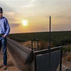 Gardening in Pinal County, Arizona: Tips and Regulations