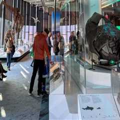 A Comprehensive Guide to the Most Popular Exhibits in Northeast Ohio