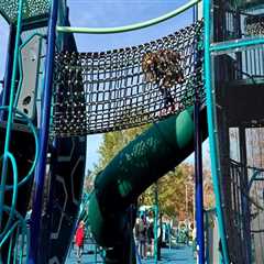 The Ultimate Family-Friendly Exhibits Guide in Northeast Ohio