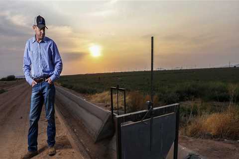 Gardening in Pinal County, Arizona: Tips and Regulations