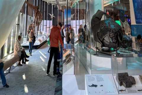 A Comprehensive Guide to the Most Popular Exhibits in Northeast Ohio