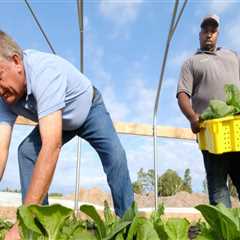 The Vital Role of Farmers in Waxhaw, North Carolina's Local Economy