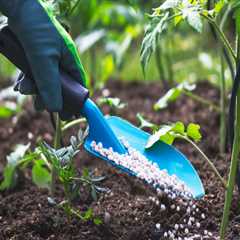 The Advantages of Organic Fertilizers in Sustainable Gardening