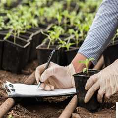 Understanding the Role of Soil Health in Sustainable Gardening Practices