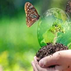 Understanding the Importance of Biodiversity in Sustainable Gardening