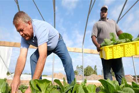 The Vital Role of Farmers in Waxhaw, North Carolina's Local Economy