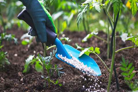 The Advantages of Organic Fertilizers in Sustainable Gardening