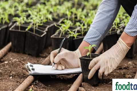 Understanding the Role of Soil Health in Sustainable Gardening Practices