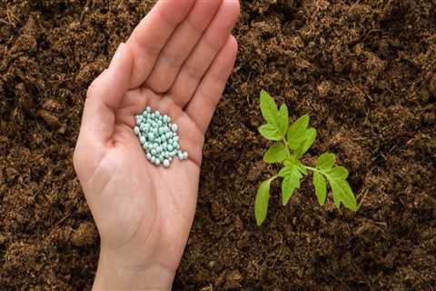 Harnessing Natural Fertilizers for Sustainable Gardening Success