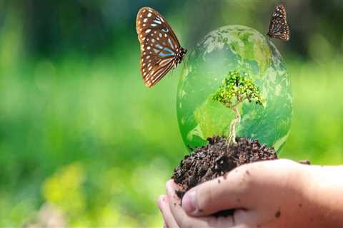 Understanding the Importance of Biodiversity in Sustainable Gardening