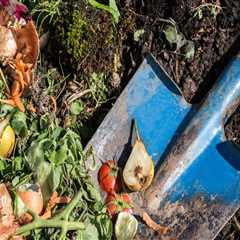 Using Kitchen Scraps for Lawn Fertilization: A Sustainable Approach