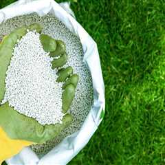 Understanding Lawn Fertilization: Can You Fertilize a Dormant Lawn?