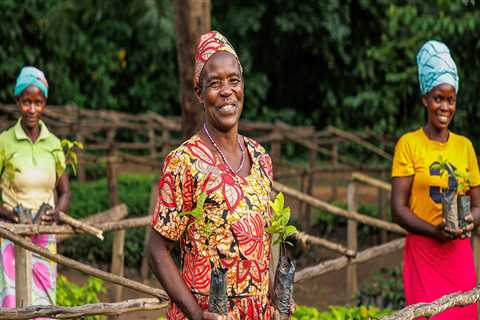 The Role of Community Involvement and Education in Effective Tree Management