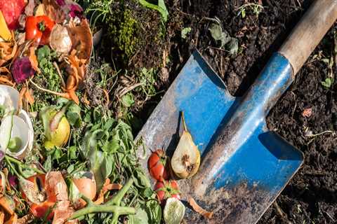 Using Kitchen Scraps for Lawn Fertilization: A Sustainable Approach