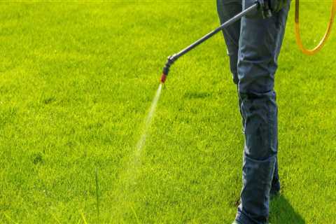 Effective Lawn Fertilization Strategies to Control Common Weeds