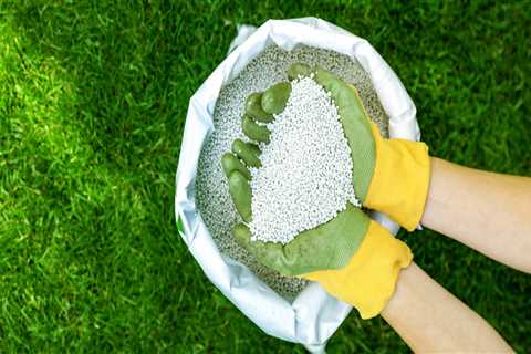 Understanding Lawn Fertilization: How Much is Enough?