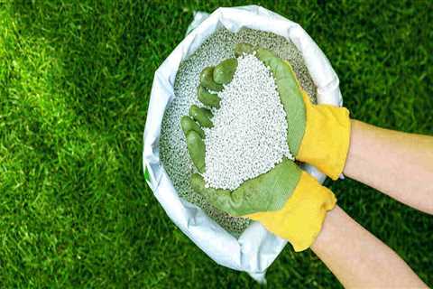 Understanding Lawn Fertilization: A Complete Guide to Healthy Grass