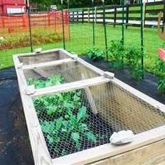 Effective Strategies for Protecting Your Garden from Animals and Pests