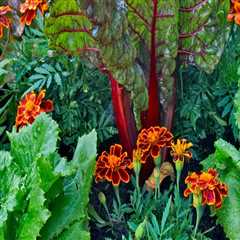 Effective Strategies for Attracting Pollinators to Your Garden