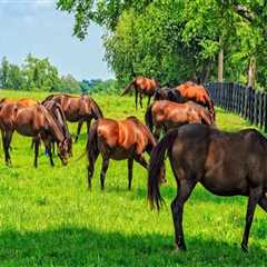 Identifying Signs of Poor Pasture Management for Healthier Livestock