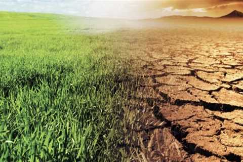 Understanding the Effects of Climate Change on Soil Fertility and Strategies for Improvement