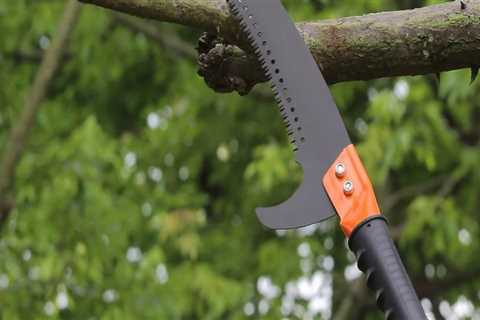 Essential Tools for Safe and Effective Tree Branch Removal