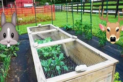 Effective Strategies for Protecting Your Garden from Animals and Pests