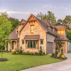 Enhance Vineyard Growth with Expert Tree Pruning in Portsmouth